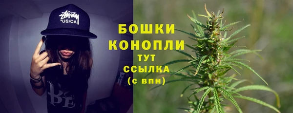 каннабис Богданович
