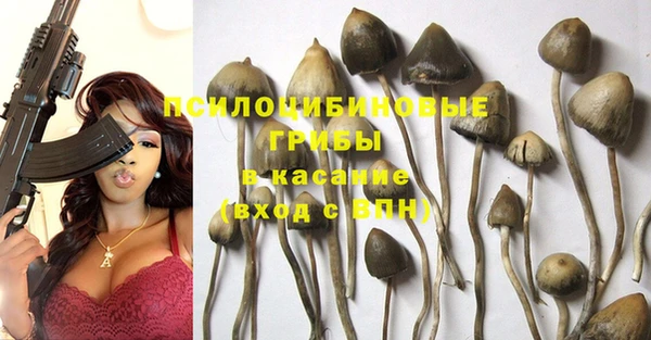 каннабис Богданович